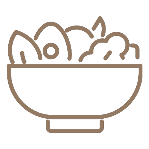 salad icon